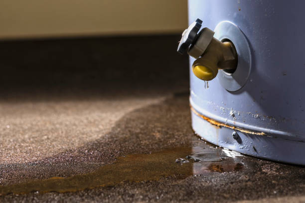 Best 24-hour water damage restoration  in Live Oak, CA