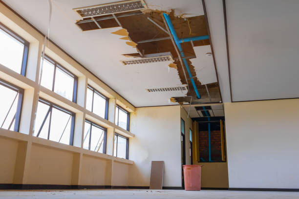 Best Water damage cleanup near me  in Live Oak, CA
