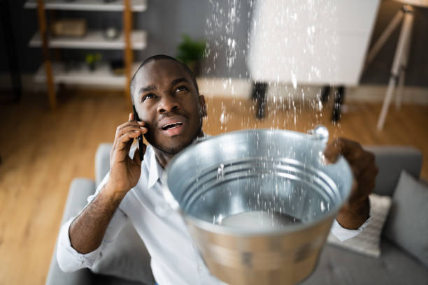 Best Water damage mitigation services  in Live Oak, CA