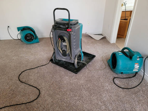 Best Fire Damage Restoration  in Live Oak, CA