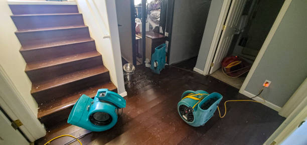 Best Flood restoration services  in Live Oak, CA