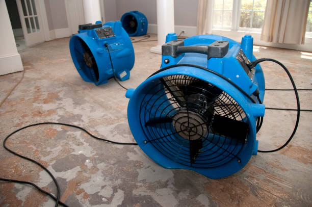 Best Water damage contractors near me  in Live Oak, CA