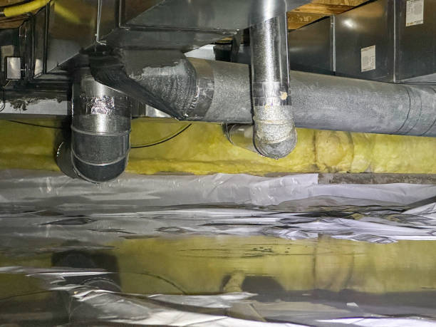 Best Local water damage restoration  in Live Oak, CA