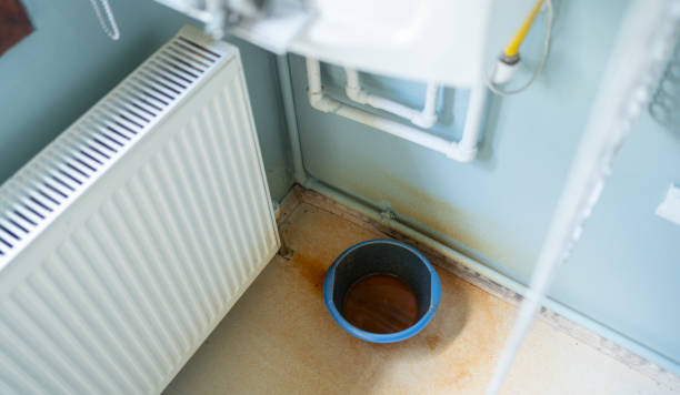 Best Basement water damage restoration  in Live Oak, CA