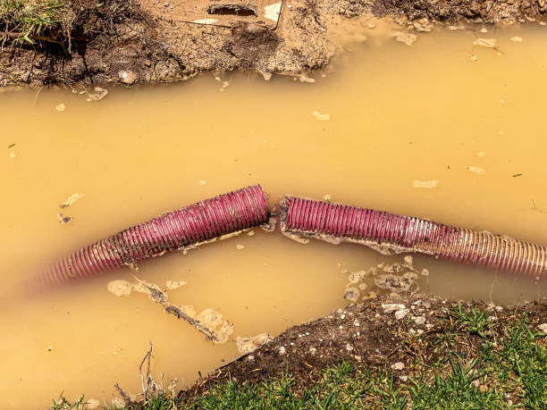 Best Flood restoration services  in Live Oak, CA